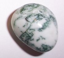 (image for) TREE AGATE